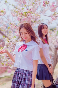 掩护电视剧